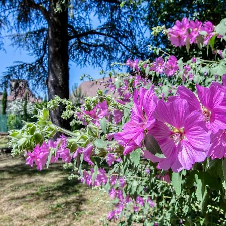 La Licorne Sarladaise 萨尔拉拉卡内达